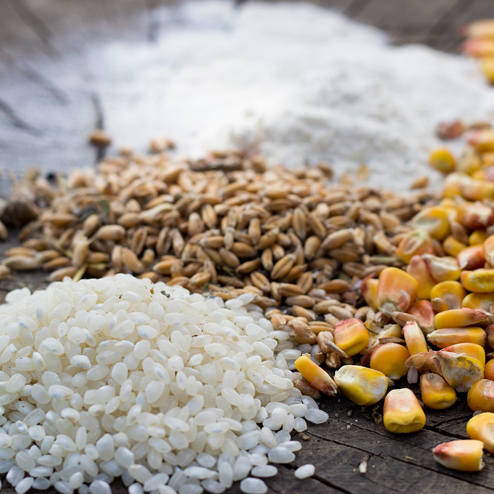 Rice, Grains, Pasta & Beans Archives - European Food Express