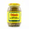 Orlando California Grape Leaves