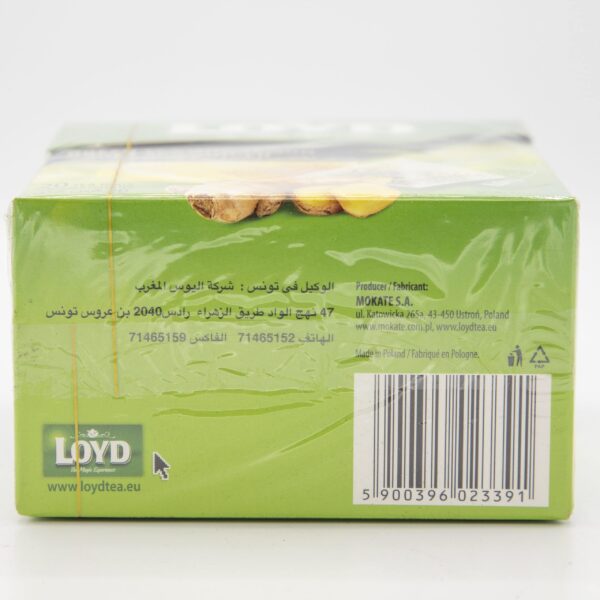 LOYD 20ct PYRAMID GREEN TEA WITH LEMON HONEY AND GINGER - Image 5