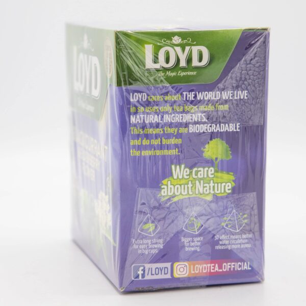 LOYD 20ct PYRAMID BLACKBERRY ELDERBERRY - Image 6